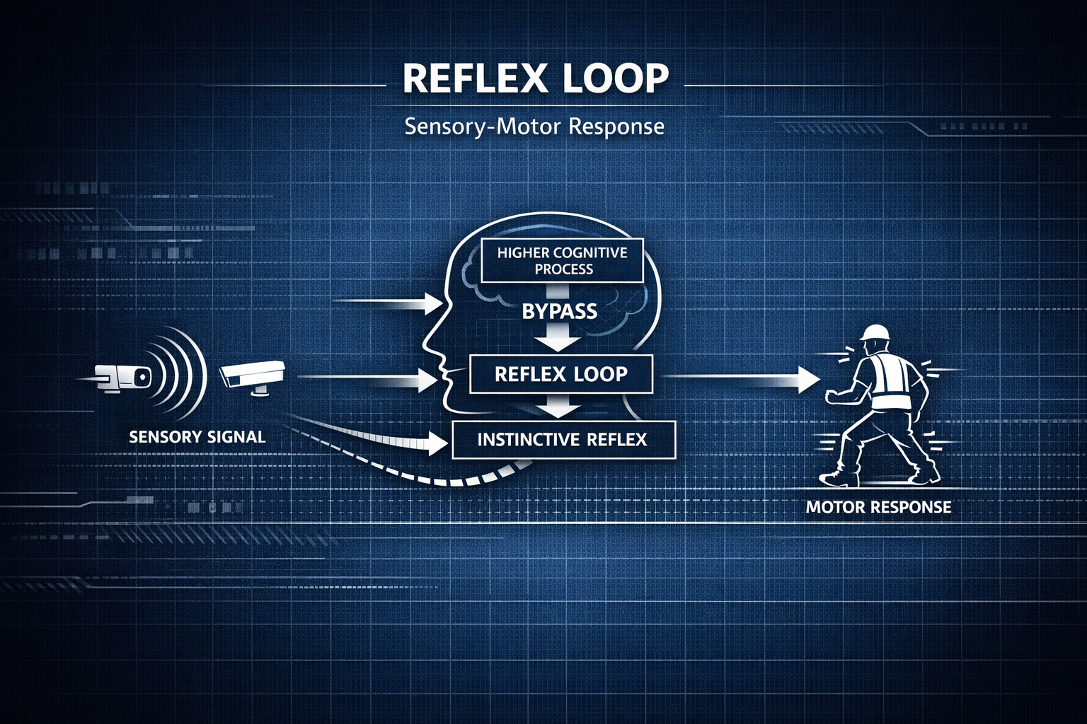 Reflex loop diagram showing how detection, cue delivery, human response, and system learning continuously reinforce safer actions